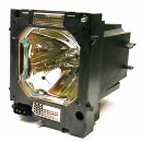 Projector Lamp EIKI 610-334-2788