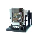 Projector Lamp SANYO AH-50001