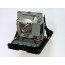 Replacement Lamp for BENQ SW916