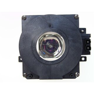 Replacement Lamp for PLANAR PR5021