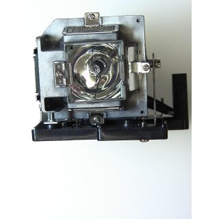 Beamerlampe für LG DS420