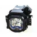 Beamerlampe für MERIDIAN D ILA 1080 MF1