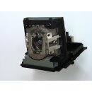 Replacement Lamp for OPTOMA DY8901