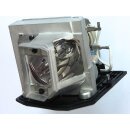Replacement Lamp for OPTOMA DH1011