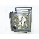 Replacement Lamp for PANASONIC PT-795EG