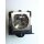 Beamerlampe für DONGWON DLP-US720