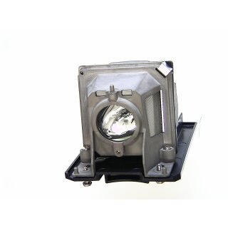 Beamerlampe für NEC NP110