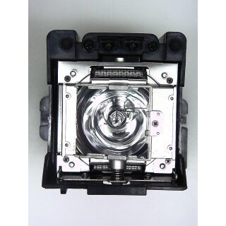 Beamerlampe für BARCO RLM W8