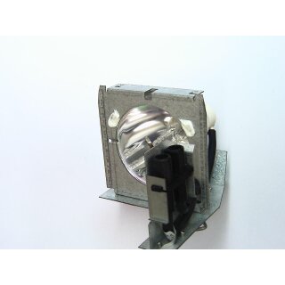 Replacement Lamp for INFOCUS LP1000B