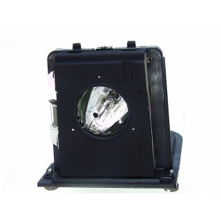 Replacement Lamp for MITSUBISHI D2010