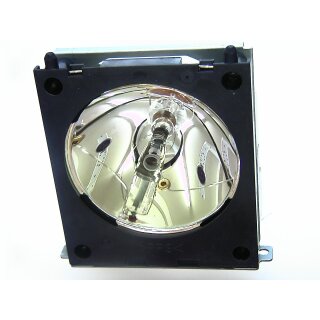 Replacement Lamp for LIESEGANG DV 330