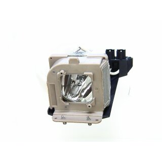 Replacement Lamp for TAXAN U7 132H