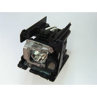 Beamerlampe für BENQ W8000