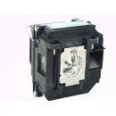 Replacement Lamp for EPSON D6150
