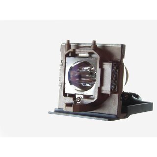 Replacement Lamp for MEDION MD30055BA