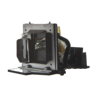 Replacement Lamp for TAXAN U6 132