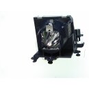 Replacement Lamp for PROJECTIONDESIGN F1 SX+   (250w)