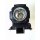 Beamerlampe für INFOCUS IN5544
