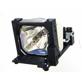 Replacement Lamp for LIESEGANG DV 365