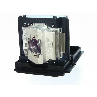Replacement Lamp for INFOCUS IN5533 (LAMP #2)