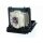 Replacement Lamp for INFOCUS IN5533 (LAMP #2)