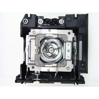Replacement Lamp for OPTOMA HD8600