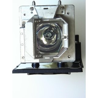 Replacement Lamp for OPTOMA THEME-S HD808