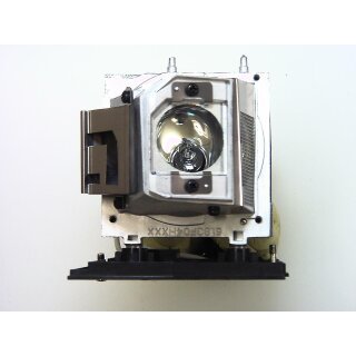 Replacement Lamp for ACER P1100C