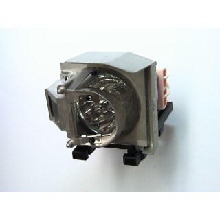 Replacement Lamp for OPTOMA W317UST