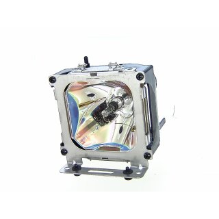 Replacement Lamp for LIESEGANG DV 8106