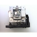 Replacement Lamp for VIVITEK D-795WT