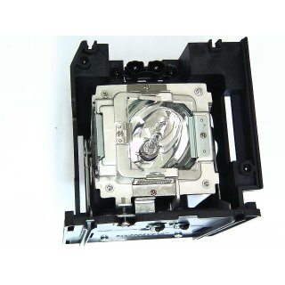 Replacement Lamp for VIVITEK D-5110W