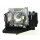 Beamerlampe für BOXLIGHT Phoenix S25