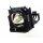 Replacement Lamp for PANASONIC TH-D10000