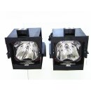 Replacement Lamp for BARCO ID LR6 (Twin Pack)