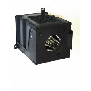 Replacement Lamp for VIDIKRON MODEL 20