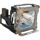 Replacement Lamp for LIESEGANG dv325