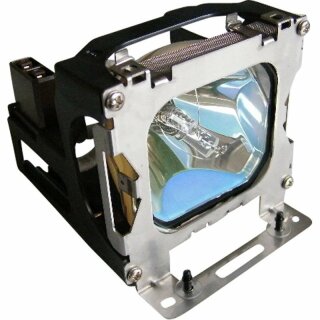 Replacement Lamp for LIESEGANG dv350