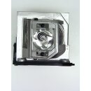 Projektorlampe OPTOMA SP.8MQ01GC01