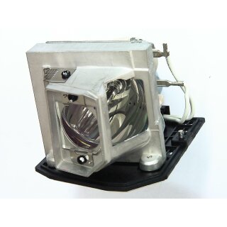 Projektorlampe OPTOMA SP.8VC01GC01