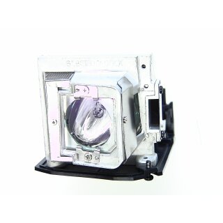 Projector Lamp ACER EC.J9900.001