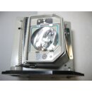 Projektorlampe NEC NP10LP