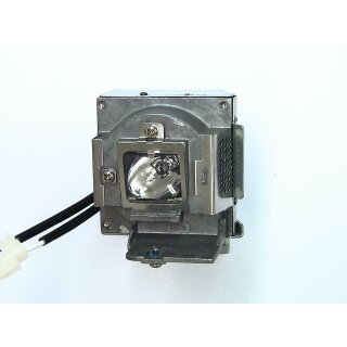 Projektorlampe BENQ 5J.J6V05.001