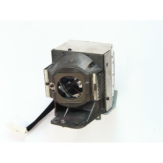 Projektorlampe BENQ 5J.JDV05.001