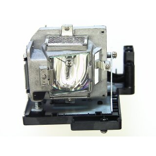 Projector Lamp BENQ 5J.J1X05.001