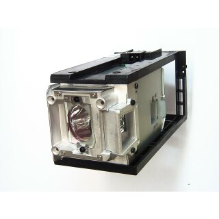 Projektorlampe ACER MC.JH411.002