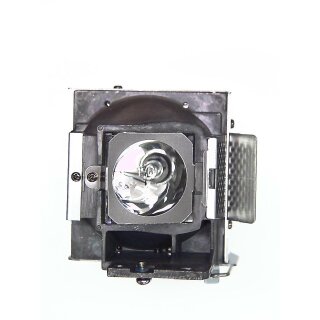 Projector Lamp ACER EC.JD300.001