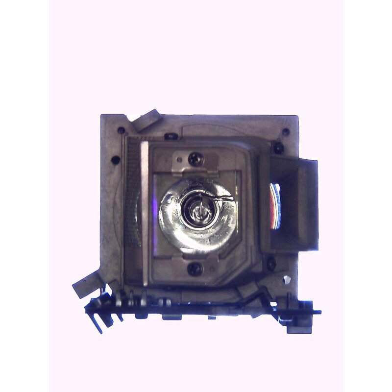 Projektorlampe ACER EC.JBG00.001