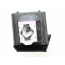 Projector Lamp ACER EC.J4800.001