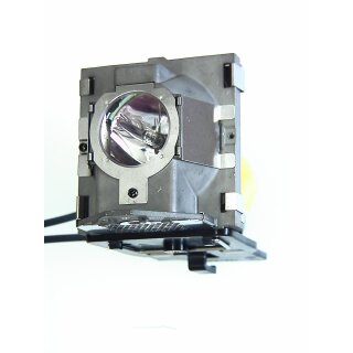 Projektorlampe BENQ 9E.0C101.011